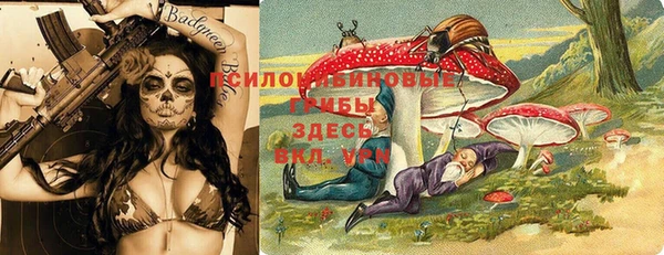стаф Алексеевка