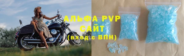 СК Алексин