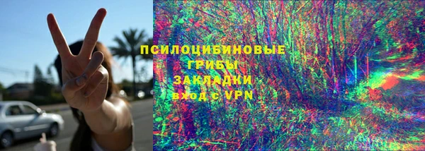 МДПВ Алзамай