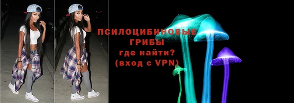 шишки Абдулино