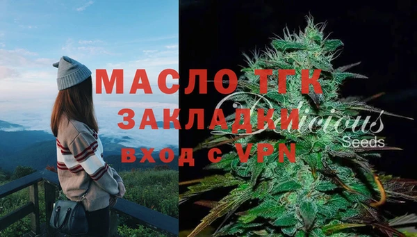 СК Алексин