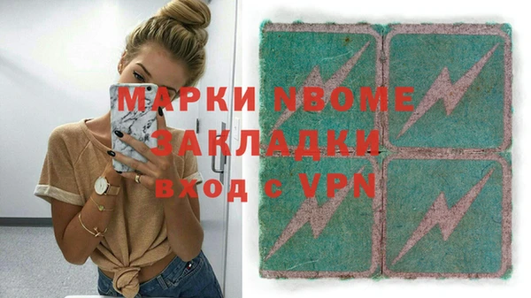 СК Алексин